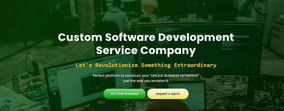 bdtask custom software development service