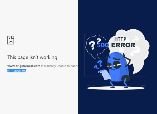 Are you Getting HTTP ERROR 500?