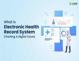 what-is-electronic-health-record-system