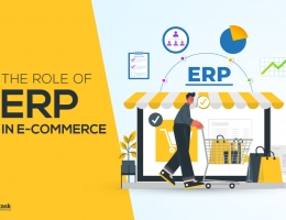 What Is The Role Of ERP In E-Commerce