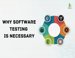Why Software Testing Is Necessary